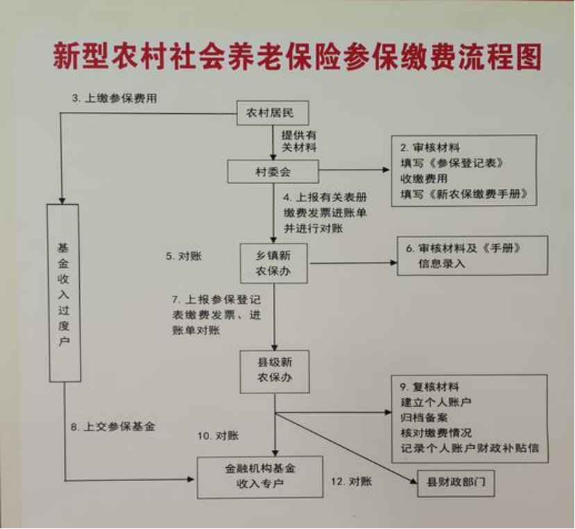 滨州农村医保和社保有什么区别(农村医保跟社保的区别)